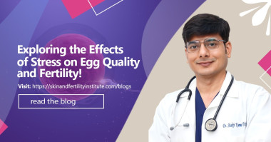 Exploring the Effects of Stress on Egg Quality and Fertility!